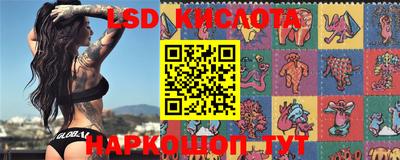 гидра Кулебаки