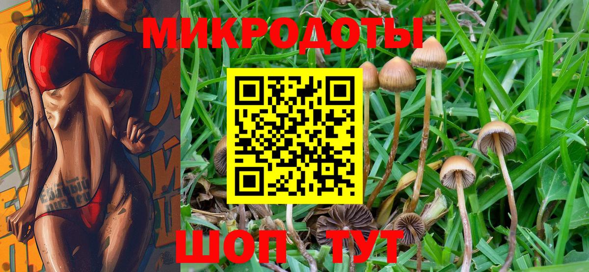 Камень-на-Оби  Галлюциногенные грибы мицелий  купить наркотик  Вход с VPN  Галлюциногенные грибы Psilocybine cubensis 